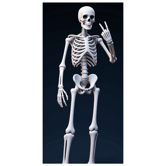 Cartoon Skeleton Halloween Decoration Spooky Theme Party Backdrop for Halloween Party Indoor Decoration Horror Event
