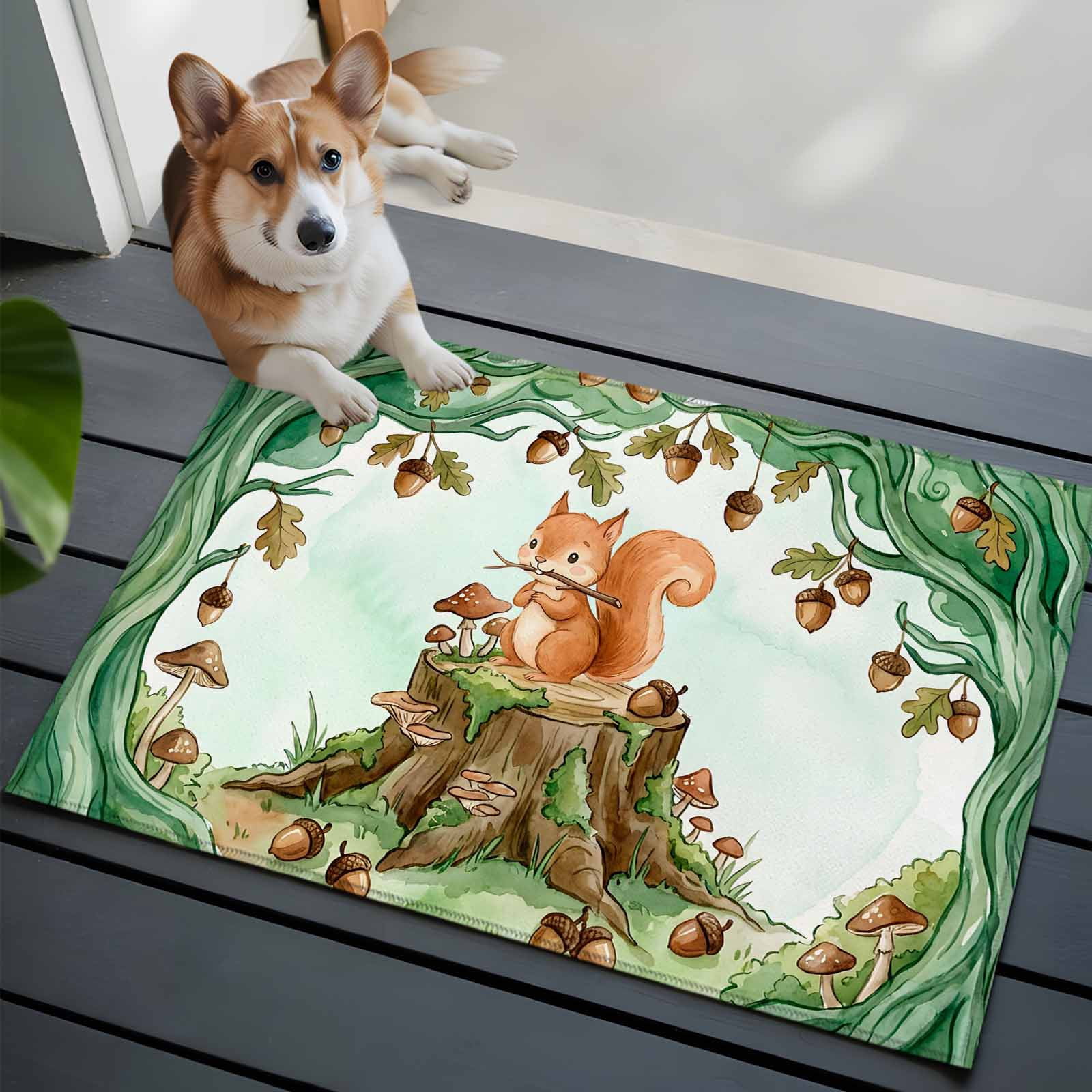 Squircle Rug Cartoon Small Squirrels 2x3 Area Rugs for Living Room, Watercolor ...