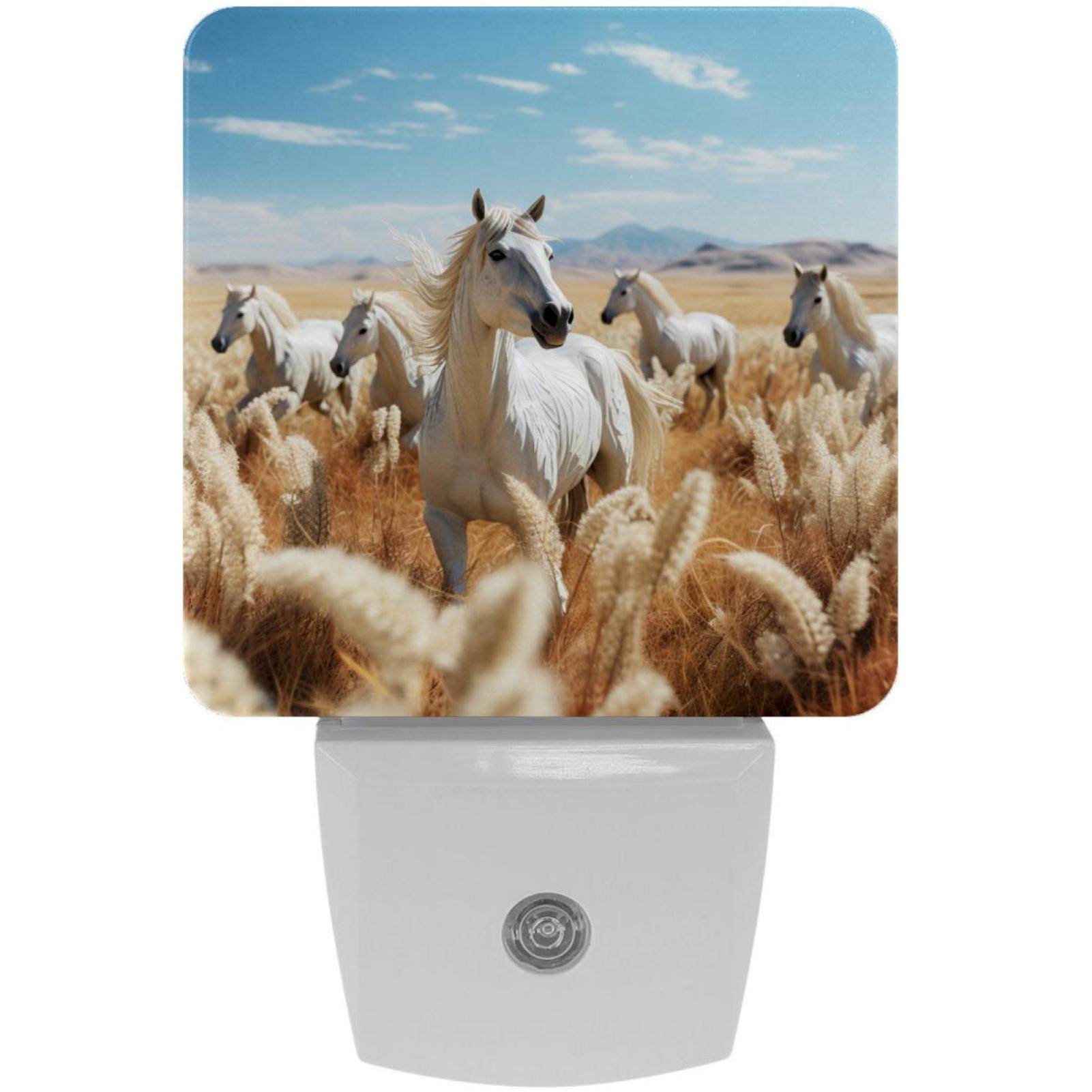 Cartoons LED Square Night Lights - Energy Efficient & Elegant ...
