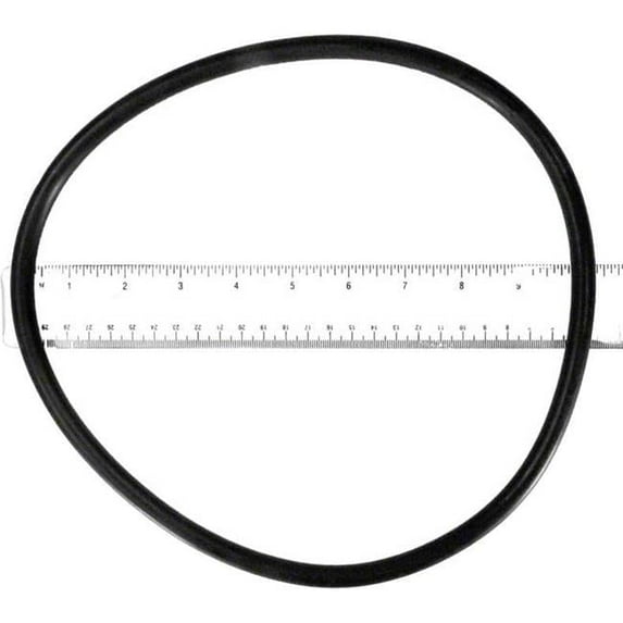 Cartridge Filter Lid O-Ring