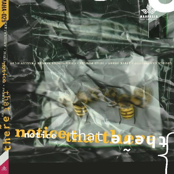 Cartwright,George / Hirsh,Steve / Fowler,Chad - Notice That There - Music & Performance - CD