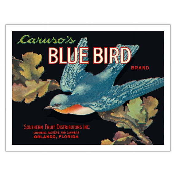 Caruso’s Blue Bird Brand - Vintage Fruit Crate Label c.1930s - Fine Art Matte Paper Print (Unframed) 20x26in