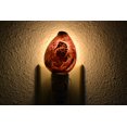 thumbnail image 1 of Carved Purple Cowrie Seahorse Sea Shell Nightlight, 1 of 3
