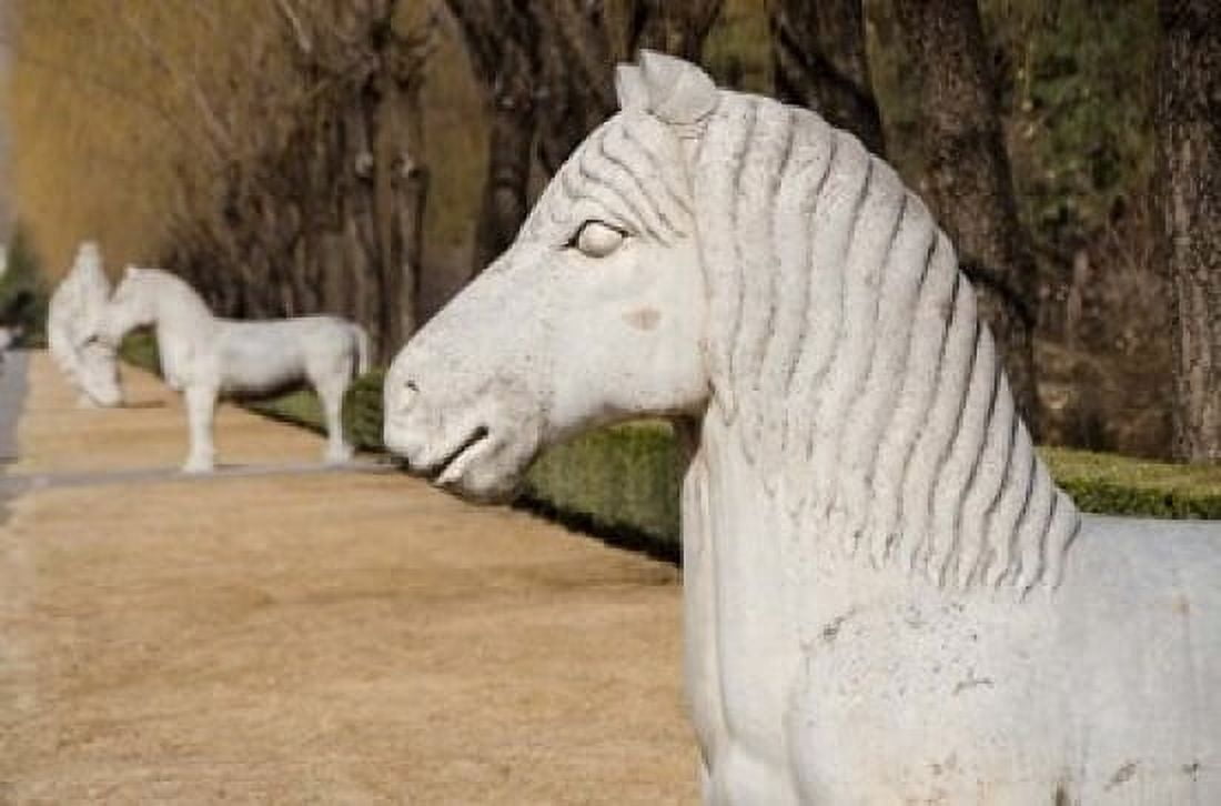 Carved horse statues Changling Sacred Was Beijing China Canvas Art - Cindy Miller Hopkins DanitaDelimont (33 x 22)