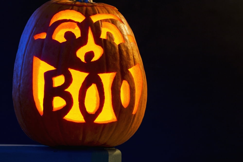 Carved pumpkin glowing with the word Boo carved in mouth Calgary Alberta Canada Canvas Art - Michael Interisano Design Pics (19 x 12)