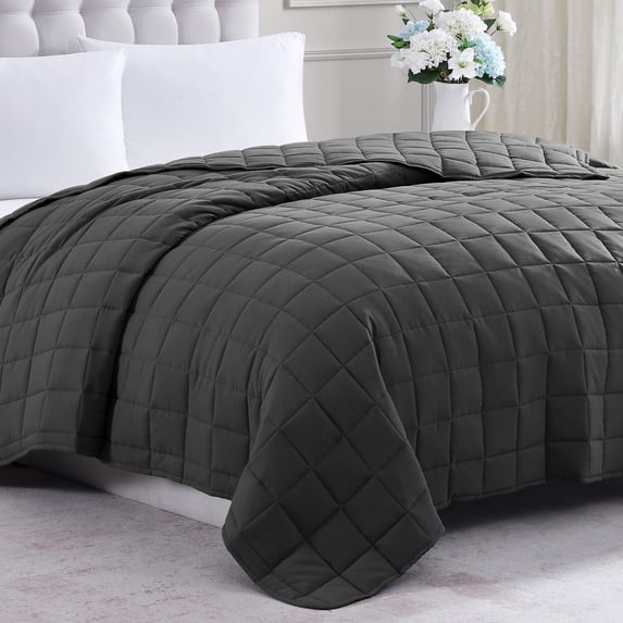 Casa Platino Queen Duvet Insert - Soft Blankets Lightweight Queen Size Bedding, Cooling Pre-Washed Duvet - Blanket Down Alternative Blanket - Charcoal