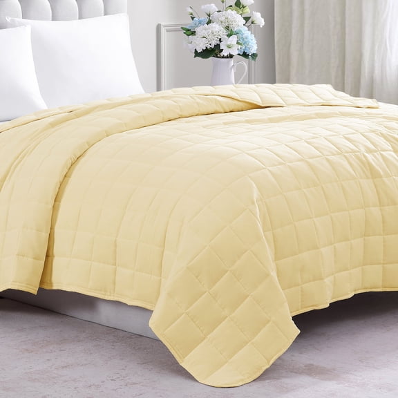 Casa Platino Quilted Blanket Queen Size - Quilted Light Weight Blanket, Pre-Washed Fluffy Soft, Microfiber Down Alternative Fill, All Season Plush Blanket - Vanilla