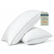 Casa Platino Bed Pillows Queen Size Dawn Alternative Soft Sleeping Pillows - Set of 2 - 20"x30"