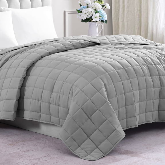 Casa Platino Queen Size Quilted Blanket - Lightweight Cooling Quilted Blanket, Machine Washable, Microfiber Down Alternative Fill, All Season Warm Blanket Use - Silver