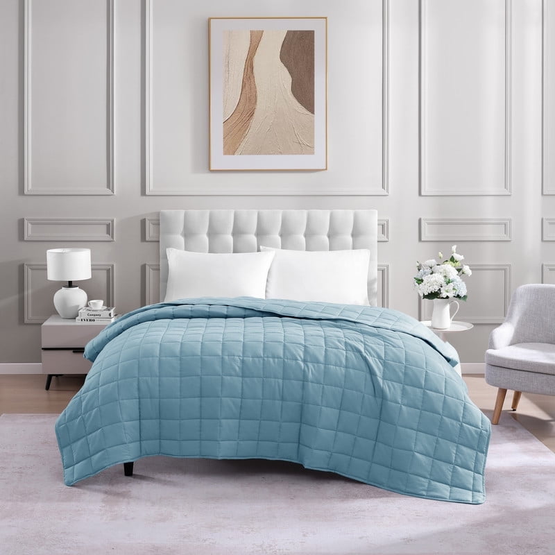 French Blue Queen Microfiber Down Alternative Comforter