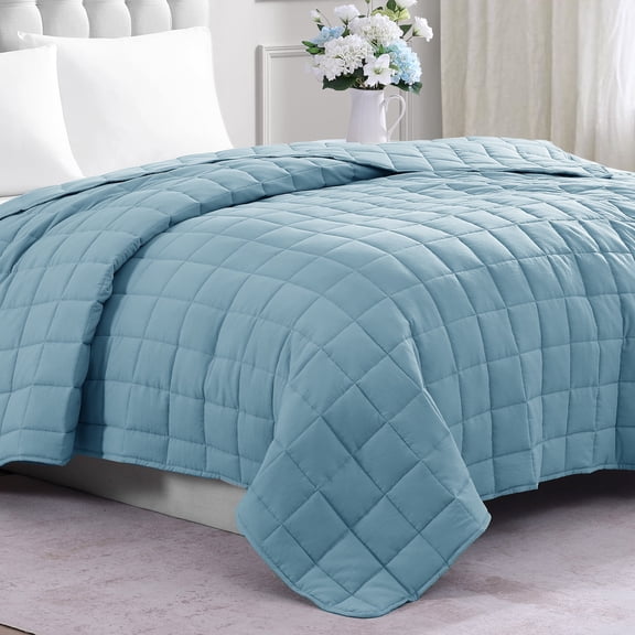 Casa Platino Quilted Queen Blanket - Quilted Down Alternative Blanket, Machine Washable, Microfiber Down Alternative Fill, All Season Soft Blanket Bedding - French Blue