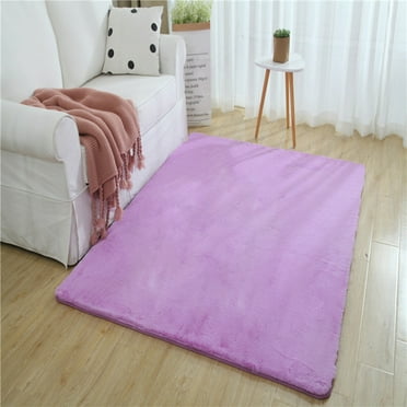 CasaChic Super Soft Suede Area Rug, Polyester Non-Slip Carpet for Bedroom Living Room Bathroom, Easy Clean Skin Friendly, 15.7x23.6in