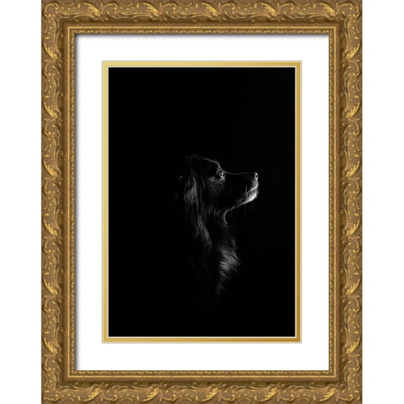 Casado Gutierrez, Paula 23x32 Gold Ornate Wood Framed with Double Matting Museum Art Print Titled - Black Dog