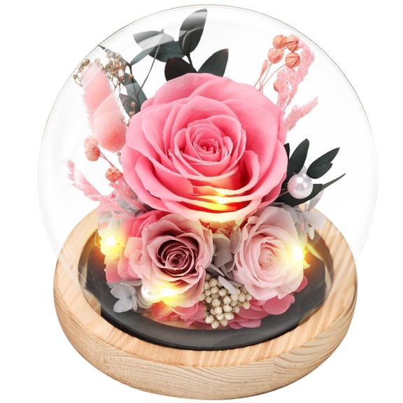 Casaido Preserved Roses Flowers for Delivery, Vanlentines Day for Her, Pink Forever Flores in Glass Dome for Women Mom Wife Girlfriend, Anniversary Birthday Rose Gift for Mothers Day Christmas Y101