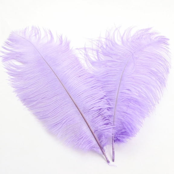 Casaio Colorful Ostrich Feathers 30-35cm Colorful Ostrich Feathers – Decorative Plumes for Wedding, DIY Crafts, Stage Decoration, Party Centerpiece Accessory Decorative Feathers