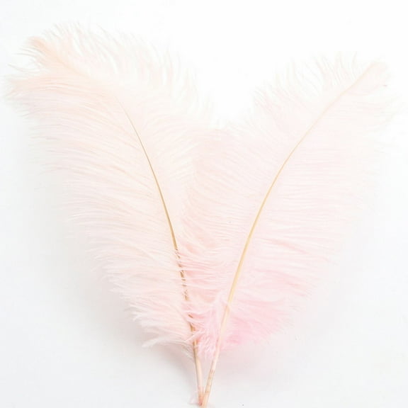 Casaio Ostrich Feathers Price Drop Alert! About 32 Cmcolorful Feathers Wedding Decoration Flower Arrangement Stage Clothing Decoration,A