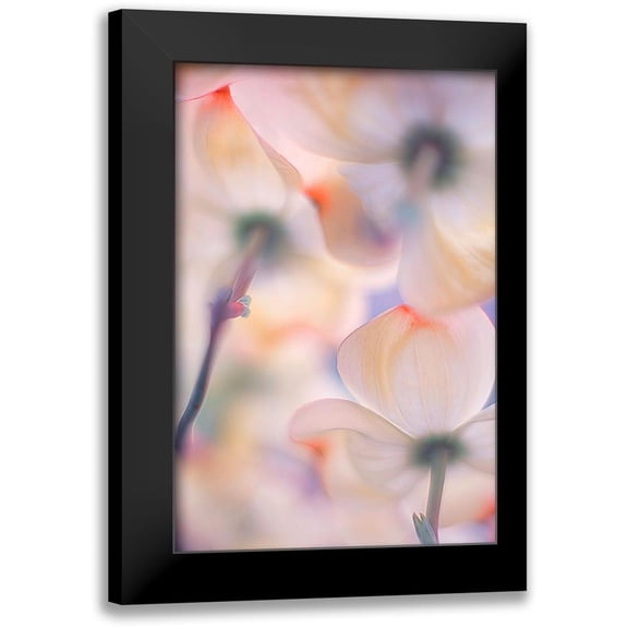 Casanova, Francois 11x14 Black Modern Framed Museum Art Print Titled - Under The Skirts Of Flowers