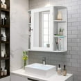 Casart Wall Mounted Bathroom with Mirror, Single Door Medicine