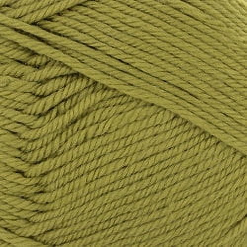 Cascade 220 Superwash Merino - #93 Dried Herb