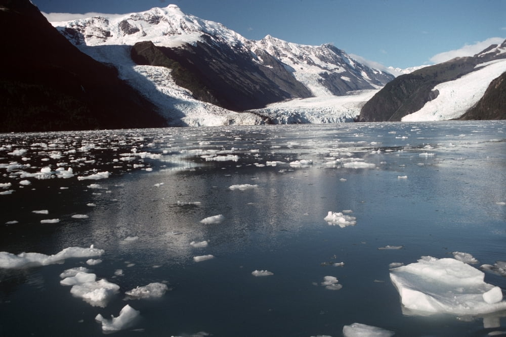 Cascade & Barry Glaciers Prince William Sound Ak Southcentral Canvas Art - Jeff Schultz Design Pics (17 x 11)