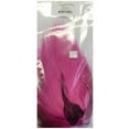 thumbnail image 1 of Cascade Crest Bucktail, Black, 1 of 1