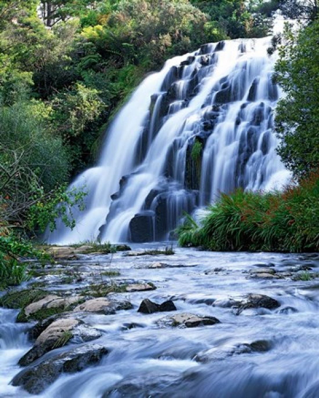 Cascade Karangahake Gorge North Island New Zealand Canvas Art - Charles Gurche DanitaDelimont (36 x 45)