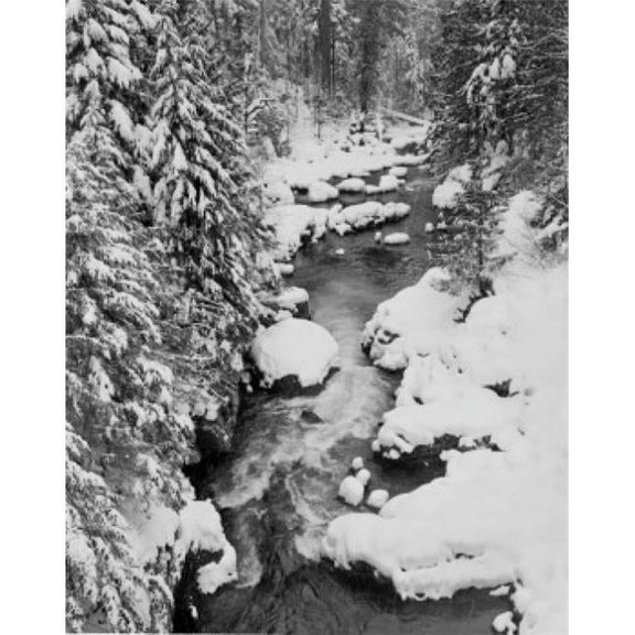 Cascade Range Stream in Winter Poster Print - 18 x 24 in.