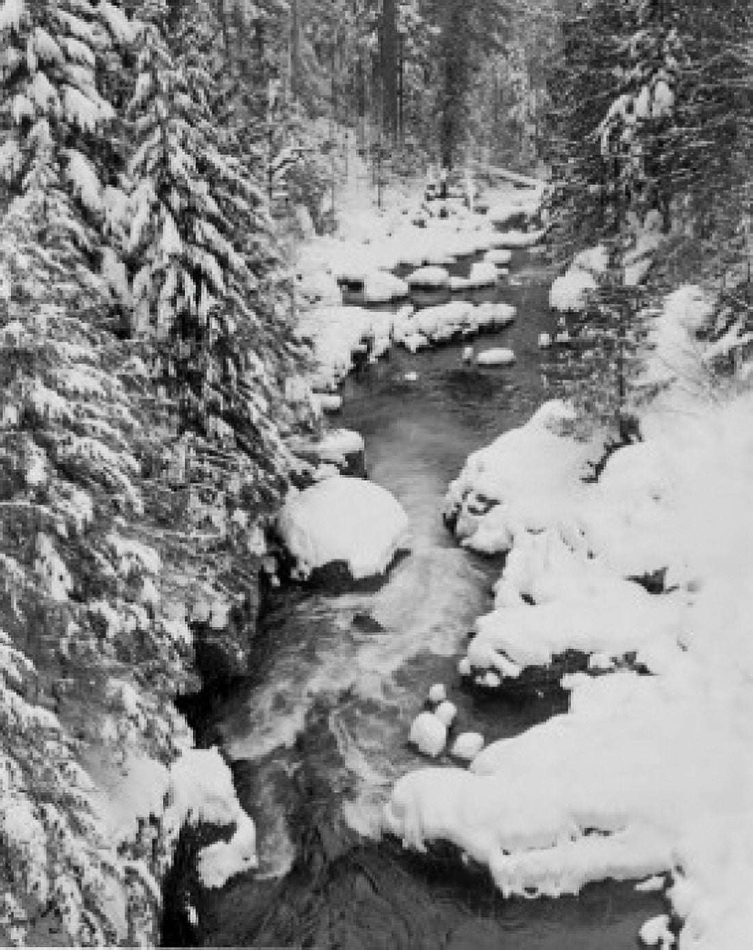 Cascade Range Stream in winter Canvas Art - (24 x 36)