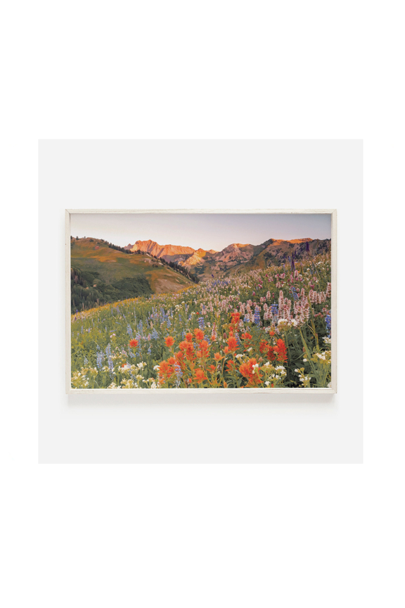 Cascade Springs Utah Utah Landscape Provo Utah Scenery Cascade Springs Photo Uinta National Forest Mountain Landscape Nature Wall Poster