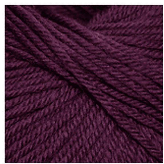 Cascade Yarns 220 Superwash 880 Marionberry