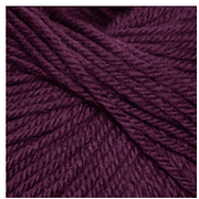 Cascade Yarns 220 Superwash 880 Marionberry