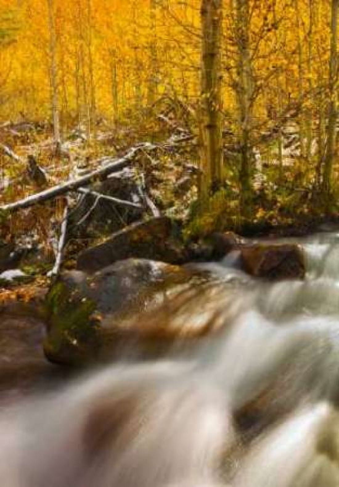 Cascade of Change Canvas Art - Mark Geistweite (20 x 28)