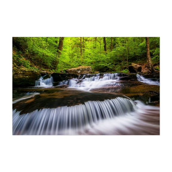 Cascades on Glen Leigh - Pennsylvania Photography Nature Waterfall Forest Scenic Landscape Summer Botanical Unframed Wall Art Print 4 x 6 inches