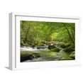 thumbnail image 1 of Art.com Cascading Creek, Great Smoky Mountains National Park, Tennessee, USA Photographic Print, White Frame Wall Art, 23" x 17", 1 of 5