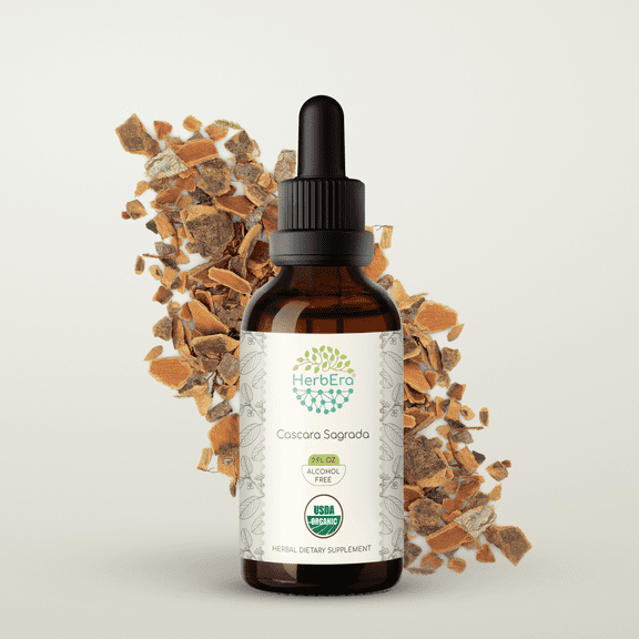 HerbEra Cascara Sagrada Tincture, Herbal Dietary Supplement for Digestive Support, Cascara Sagrada (Frangula purshiana) Dried Bark Extract, Natural, Alcohol-Free, Drops 2 oz