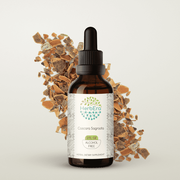 HerbEra Cascara Sagrada Tincture, Herbal Dietary Supplement for Digestive Support, Cascara Sagrada (Frangula purshiana) Dried Bark Extract, Natural, Alcohol-Free, Drops 2 oz