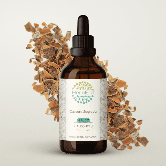 HerbEra Cascara Sagrada Tincture, Herbal Dietary Supplement for Digestive Support, Cascara Sagrada (Frangula purshiana) Dried Bark Extract, Natural, Alcohol Tincture, Drops 4 oz