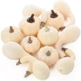 thumbnail image 1 of Case 576 Assorted White Artificial Pumpkin Gourds, 1 of 3