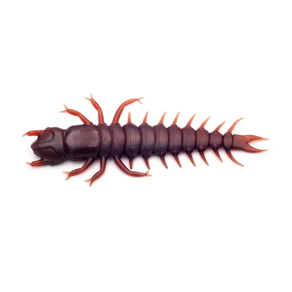 Case Hellgrammite: Large 3.25'' Wtrmln Red Flake 5pk