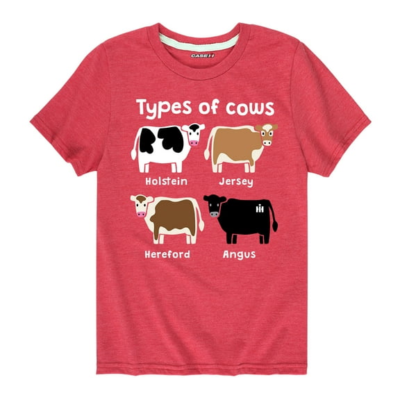 Case IH Types Of Cows - Toddler Short Sleeve Graphic T-Shirt
