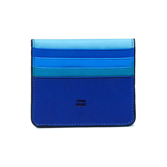 Case Look Carl - Colorful Card Holder 01
