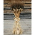 thumbnail image 1 of Case of 10, Large Dried Blackbeard Wheat Bunch Long Stem 18-24 Inch for Home, Event or Creative Project, 1 of 3