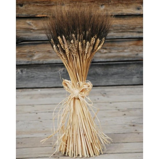 Case of 10, Large Dried Blackbeard Wheat Bunch Long Stem 18-24 Inch for Home, Event or Creative Project