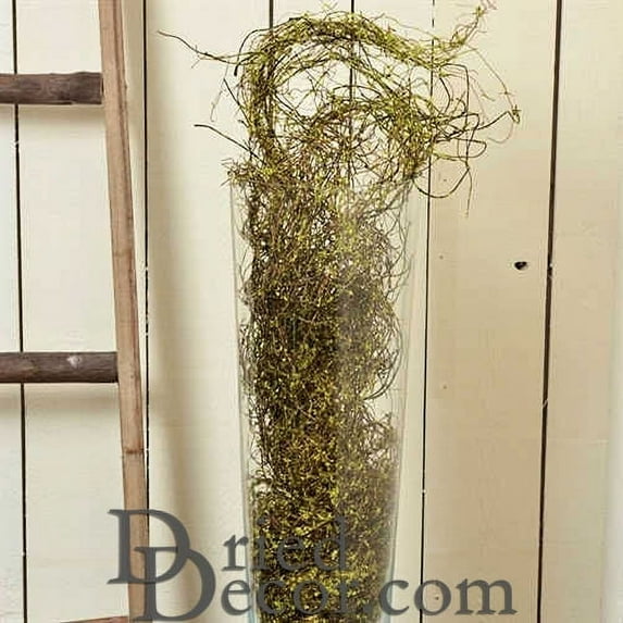 Case of 12 Bags, Angel Vine - Aloe Green for Decoration Needs