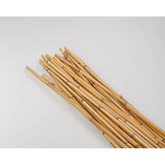 Case of 4 Bunches, Dried Honey Bamboo Stack - 4Ft Natural for Decorating Corners, Filling Vases, Centerpieces, Events
