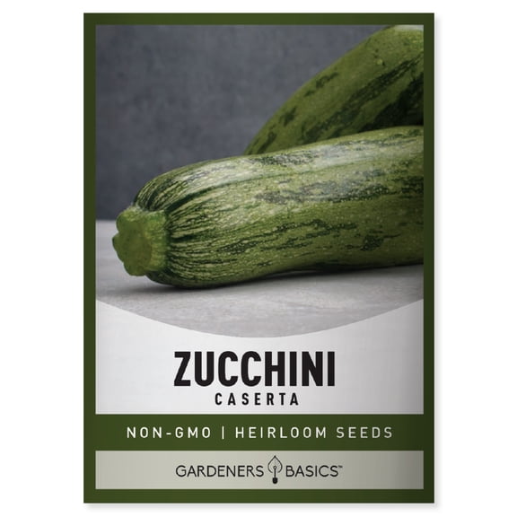 Caserta Zucchini Seeds