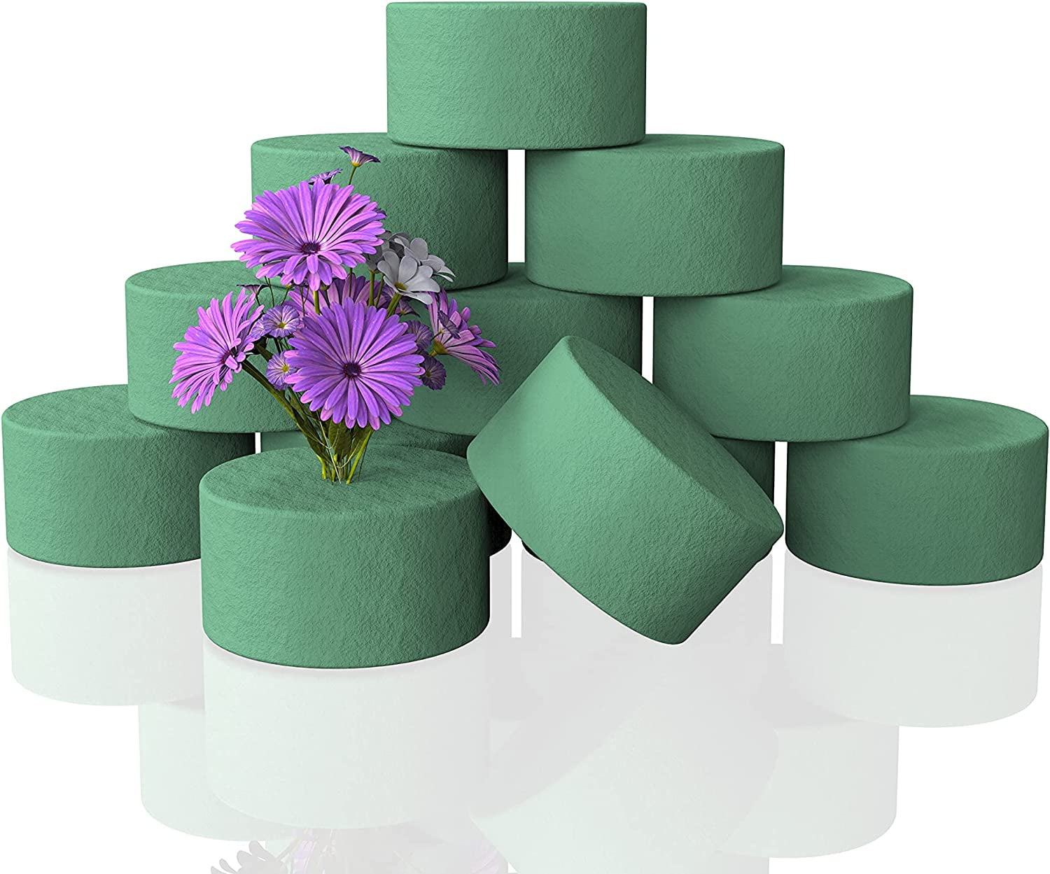 Casewin 12 Pcs Round Floral Foam Blocks for Fresh and Artificial ...