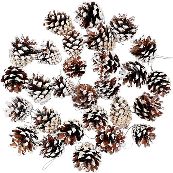 Casewin 27 Pieces 3-4 cm Mini Christma Pine Cones Holiday Pinecones Xmas White Pine Cones Fall Thanksgiving Christmas Party Decoration for DIY Crafts