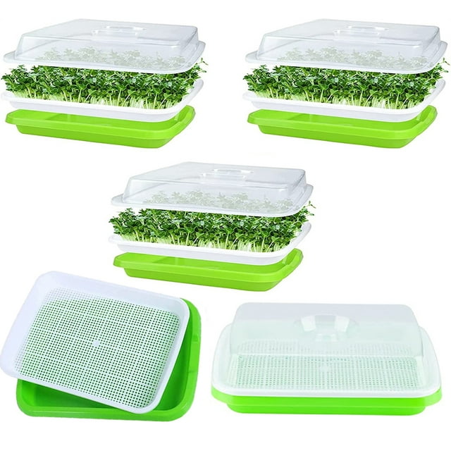 Casewin 5 Pack Seed Sprouter Tray with Lid, Nursery Seedling Seed Germination Trays, Soil Free