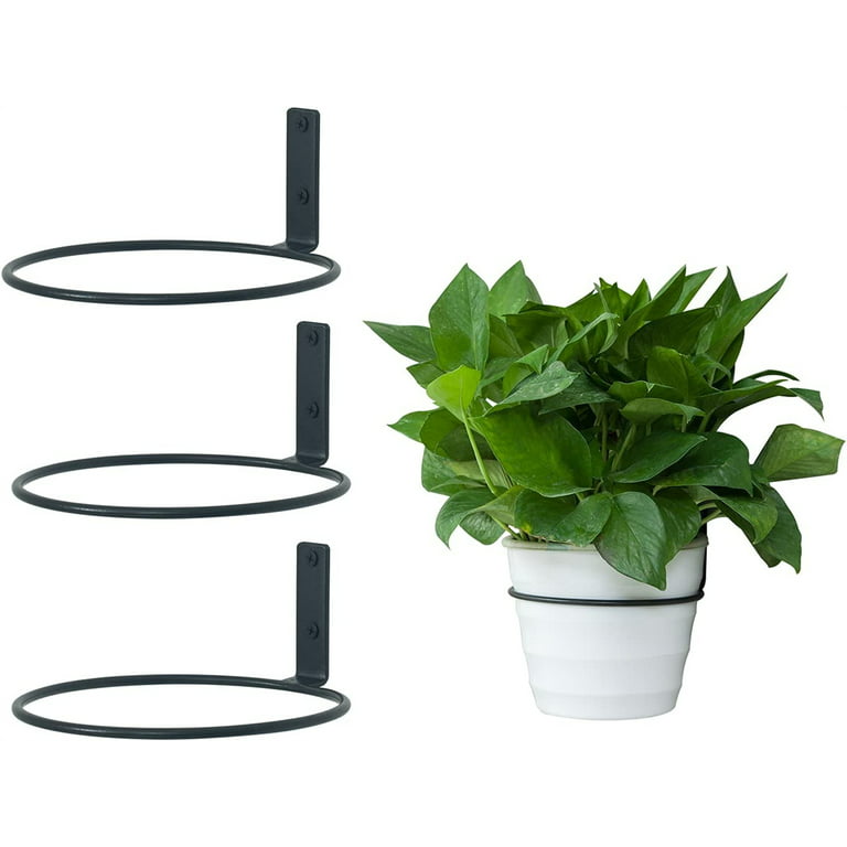 https://i5.walmartimages.com/seo/Casewin-6-inch-Outdoor-Wall-Plant-Holder-Flower-Mounted-Pot-Hanger-Planter-Rings-Potted-Holder-3-Pack_7f4ca185-3605-4205-aa9d-d4d545906758.f2fdf6bc17d251856c062922babaacf1.jpeg?odnHeight=768&odnWidth=768&odnBg=FFFFFF